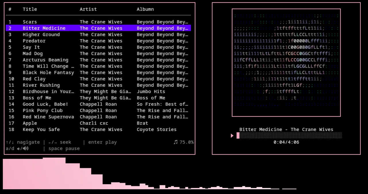vp3 playing an album in the terminal, with cover art rendered as ASCII