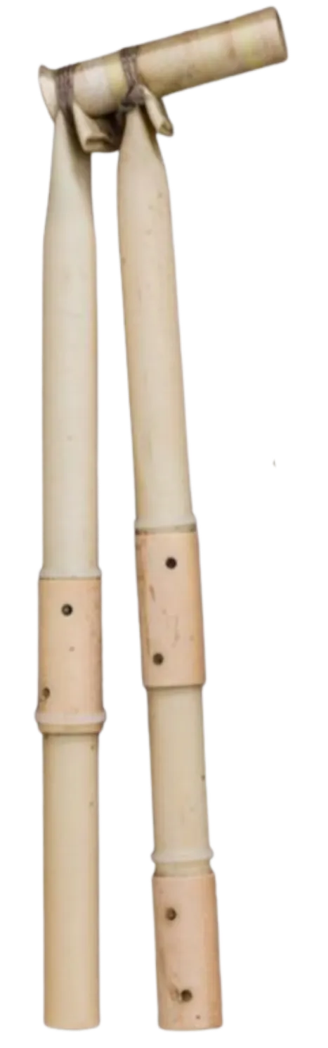 strandbeest fossil strandbeest fossil